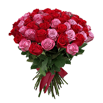 Ramo de rosas rojas y rosadas