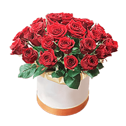 Rosas rojas en una Caja