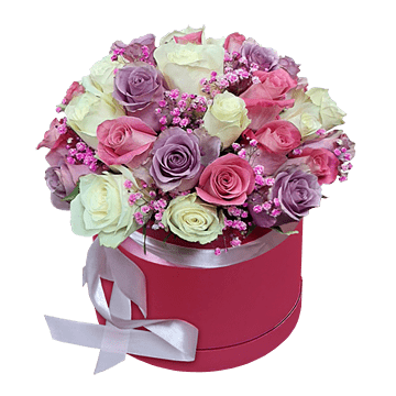 Rosas multicolores en una caja