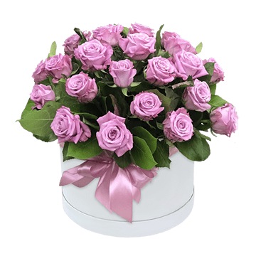 Rosas lilas en una caja