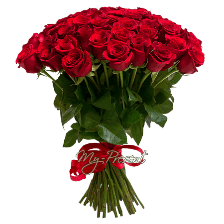 Ramo de rosas rojas (60 cm.)