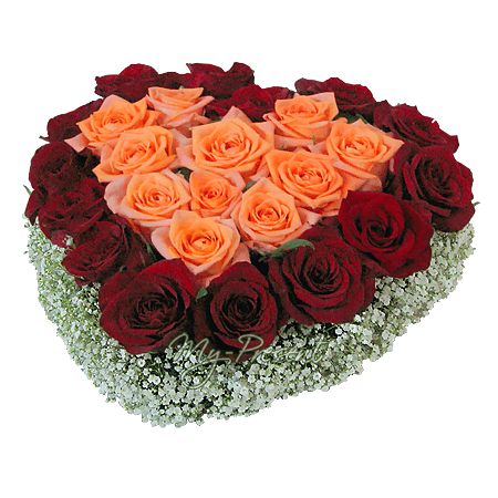 Corazon de rosas decorado con gipsofila