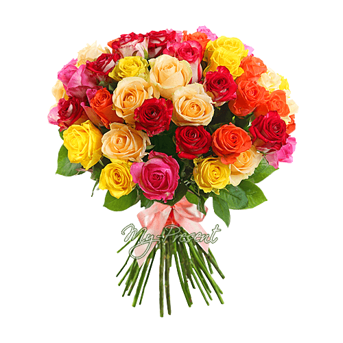 Ramo de rosas multicolores (70-80 cm.)