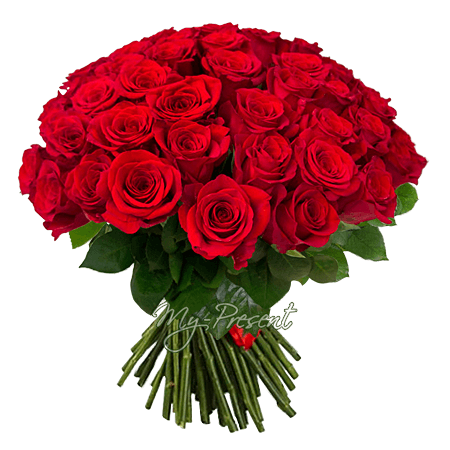 Ramo de rosas rojas (50 cm.)