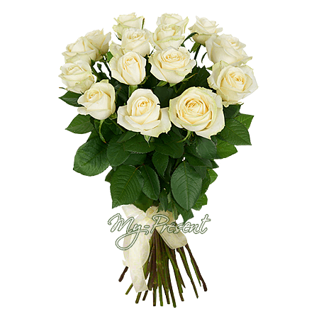 Ramo de rosas blancas (60 cm.)