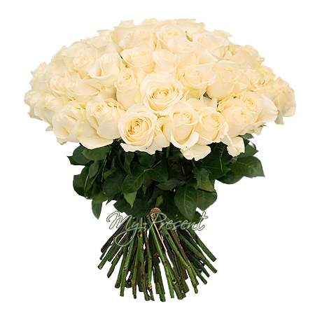 Ramo de rosas blancas (50 cm.)