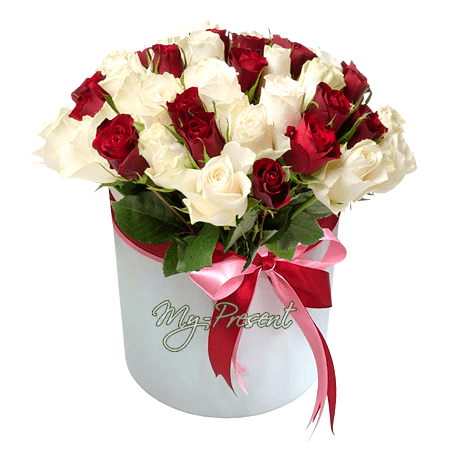 Rosas rojas y blancas en una caja