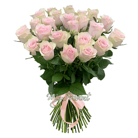 Ramo de rosas rosadas (60 cm)