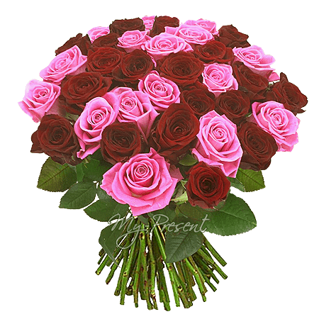 Ramo de rosas rojas y Rosadas (50 cm.)